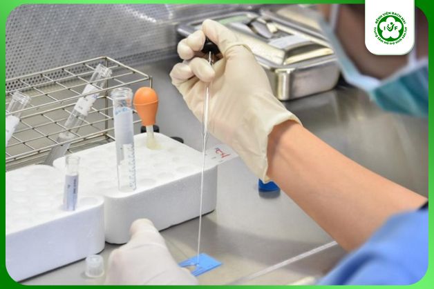 Lọc rửa tinh trùng trong điều trị IVF/IUI