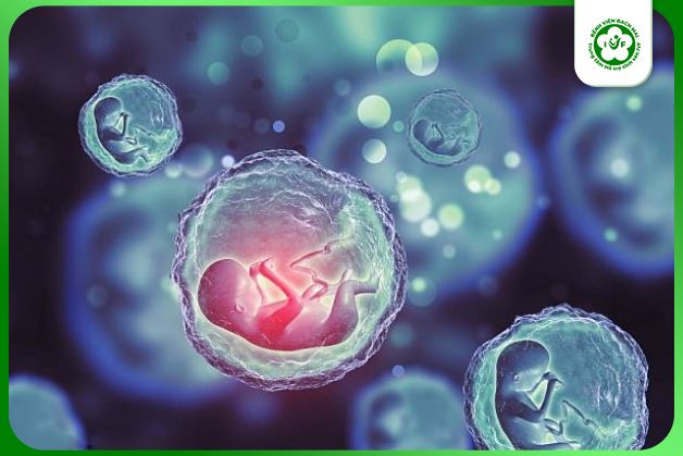 Phương pháp thụ tinh trong ống nghiệm IVF giúp các cặp vợ chồng hiếm muộn vô sinh có tin vui