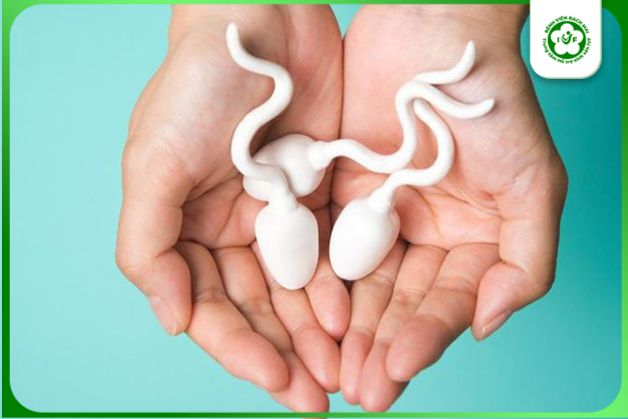 Nam giới có tinh trùng yếu và chất lượng thấp được chỉ định thực hiện IVF